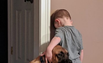 兒子面壁受罰「汪汪出來義氣相挺」 牠眼神超堅定:我不會讓你一個人